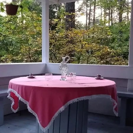 Wilga - Urokliwy Dom Z Bala Ostrybor