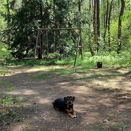 Сasa de vacaciones Wilga - Urokliwy Dom Z Bala Ostrybor