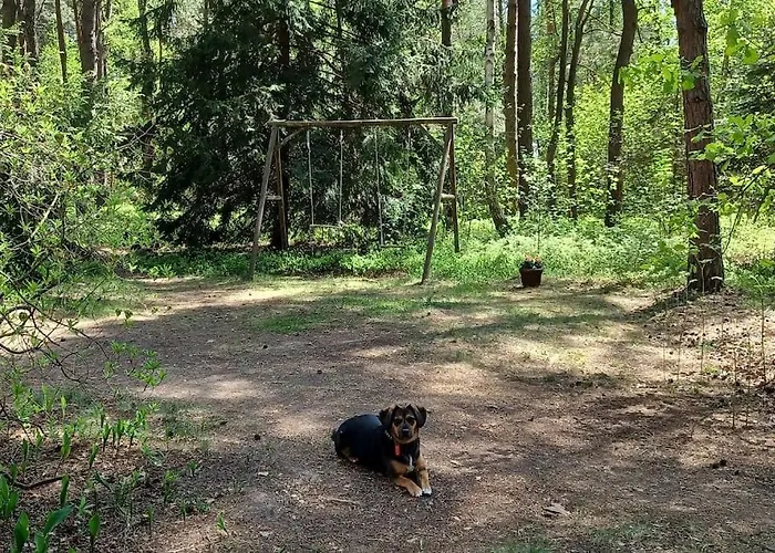 Semesterbostad Wilga - Urokliwy Dom Z Bala Ostrybor