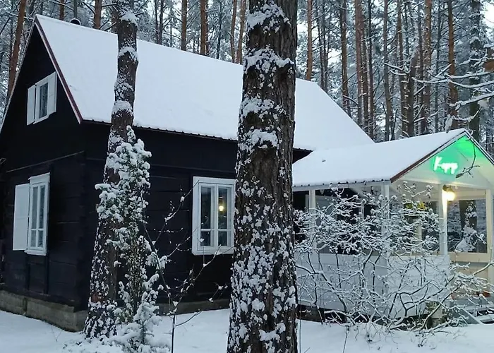 Wilga - Urokliwy Dom Z Bala *